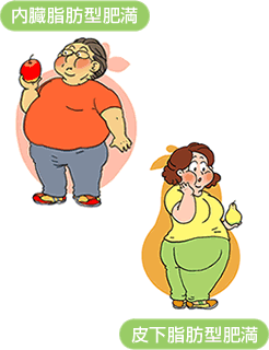 内臓脂肪型肥満・皮下脂肪型肥満
